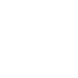 Moonshot AI
